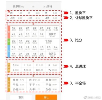 世界杯资金规划攻略 如何理性投注世界杯