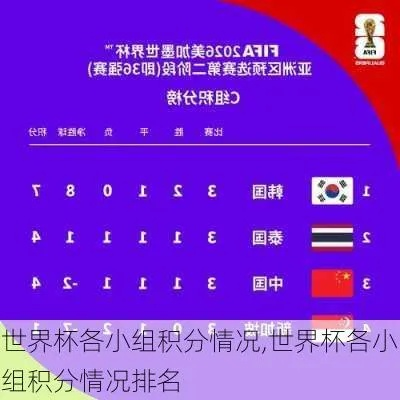 中国队在世界杯小组赛中的积分排名及出线情况分析-第3张图片-www.211178.com_果博福布斯