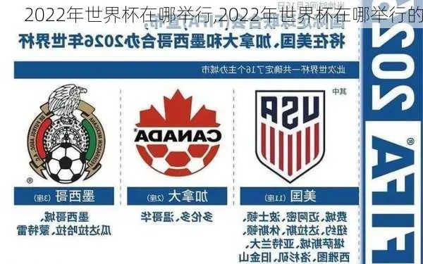 世界杯在哪里举行？2022世界杯主办国揭晓